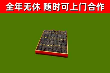 南开区回收海参